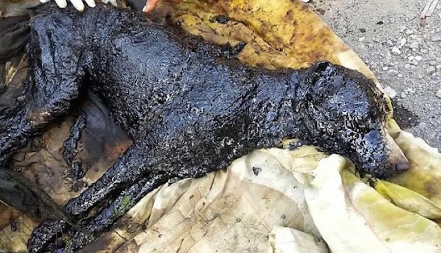 The incident unfolded at an industrial s...